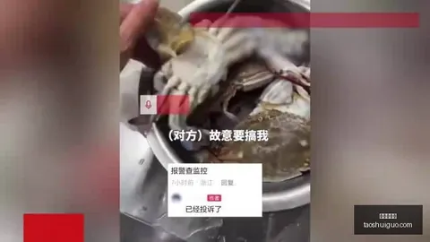 王者荣耀新英雄曝光，神秘技能引玩家热议